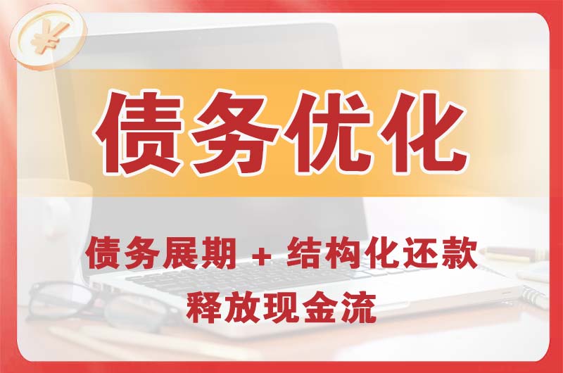 崇仁债务优化